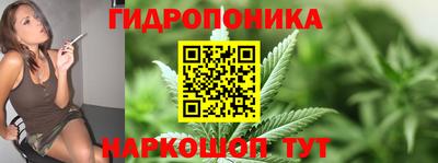 мдпв Аргун
