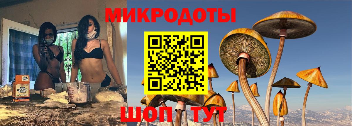Галлюциногенные грибы GOLDEN TEACHER  продажа наркотиков  Верхний Уфалей  Вход с VPN 